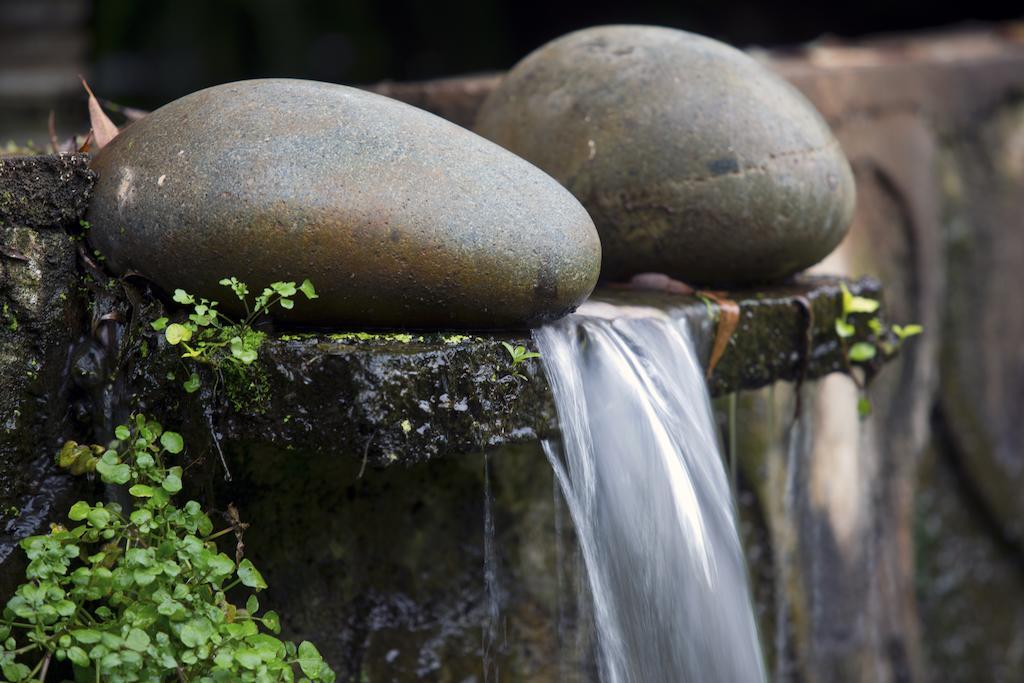 Quinta Sauz Hotel Tacámbaro de Codallos Zewnętrze zdjęcie